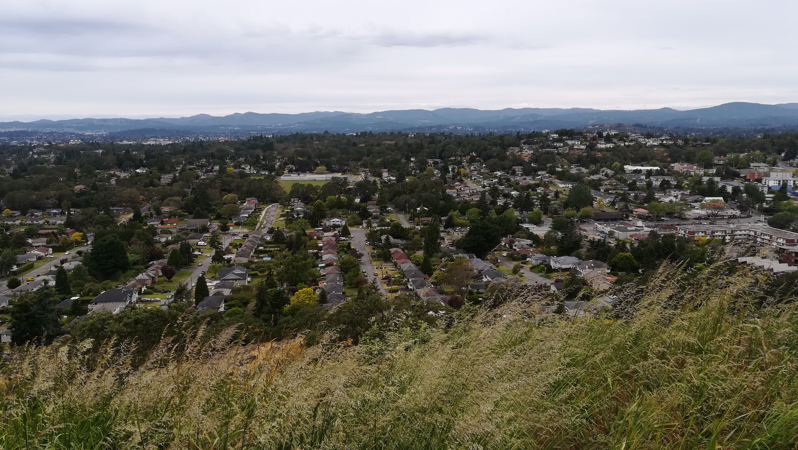 Scene from Mt. Tolmie
