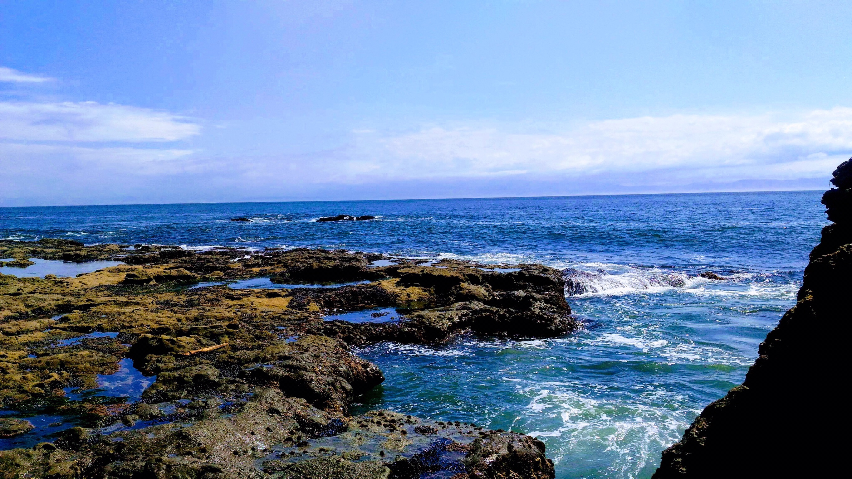 Botanical Beach, BC, Canada