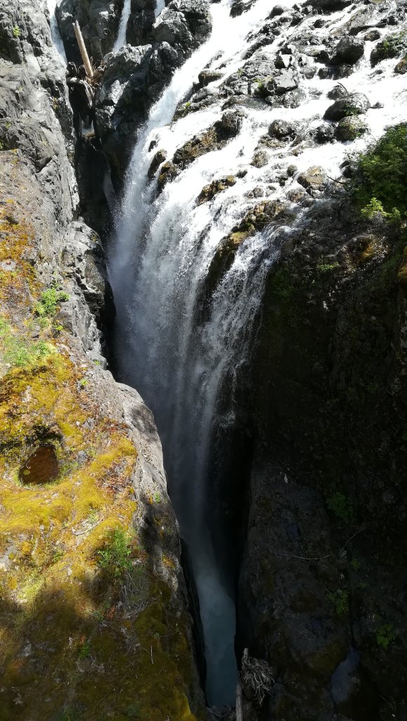 Englishman River Fall 2